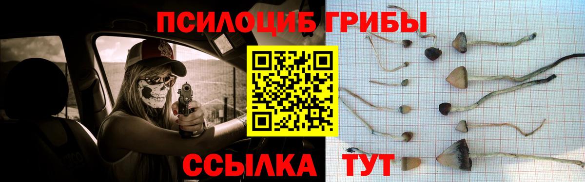 Касимов  Галлюциногенные грибы Psilocybe  Вход с VPN  Псилоцибиновые грибы Magic Shrooms 